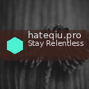 hateqiu.pro